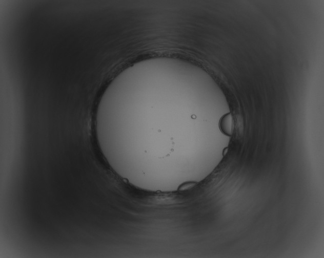 X0000101160668200806270734