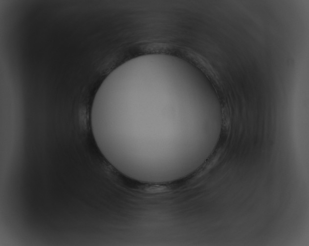 X0000101160669200806270734