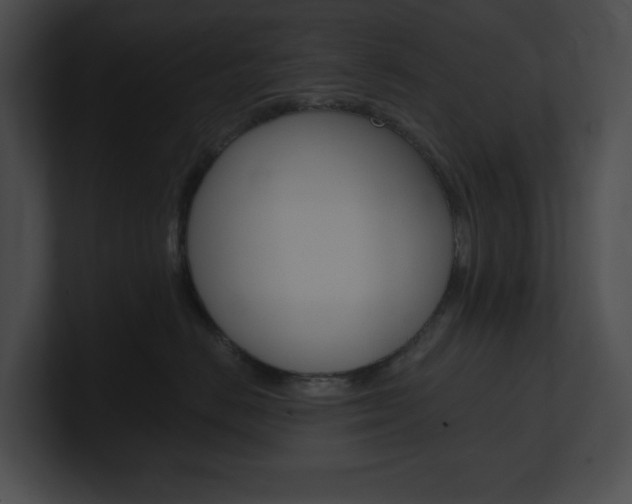 X0000101160670200806270734