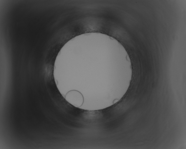 X0000101160672200806270734