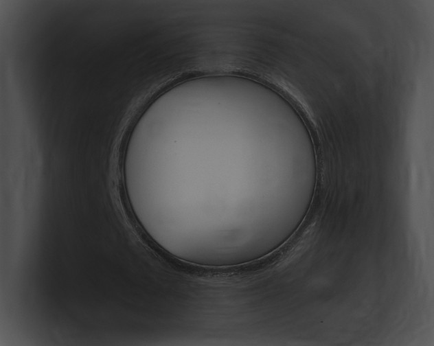 X0000101160673200806270733