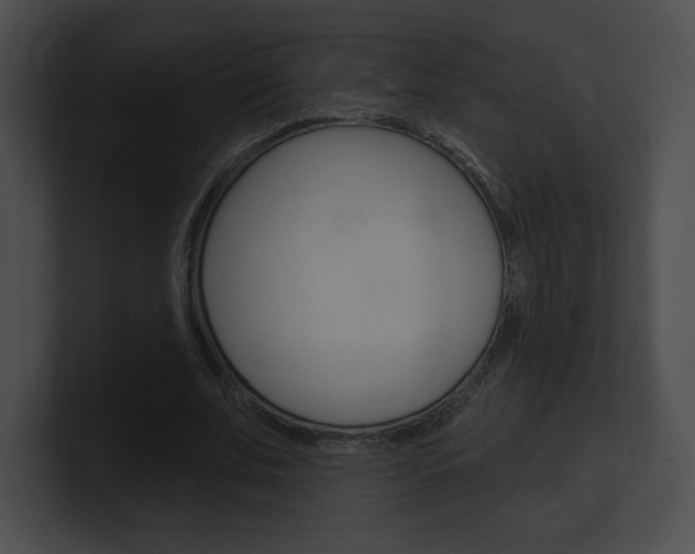 X0000101160679200806270733