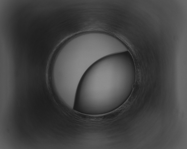 X0000101160680200806270733