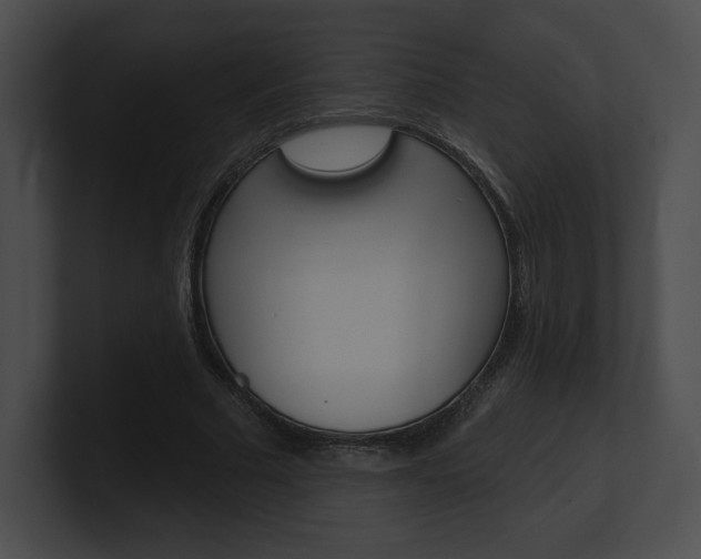 X0000101160681200806270733