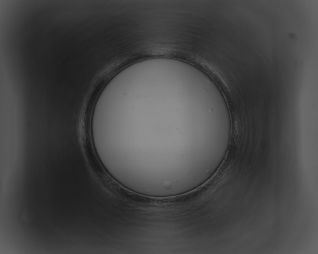 X0000101160682200806270733