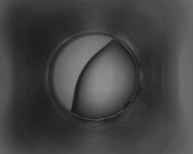 X0000101160684200806270733