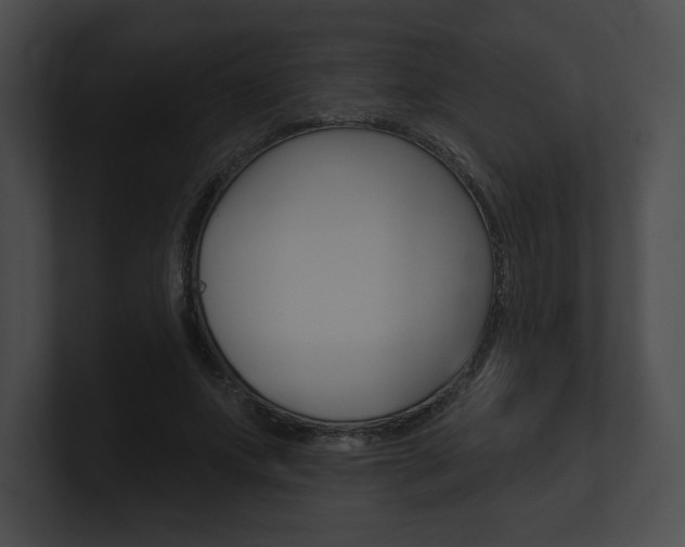 X0000101160687200806270733