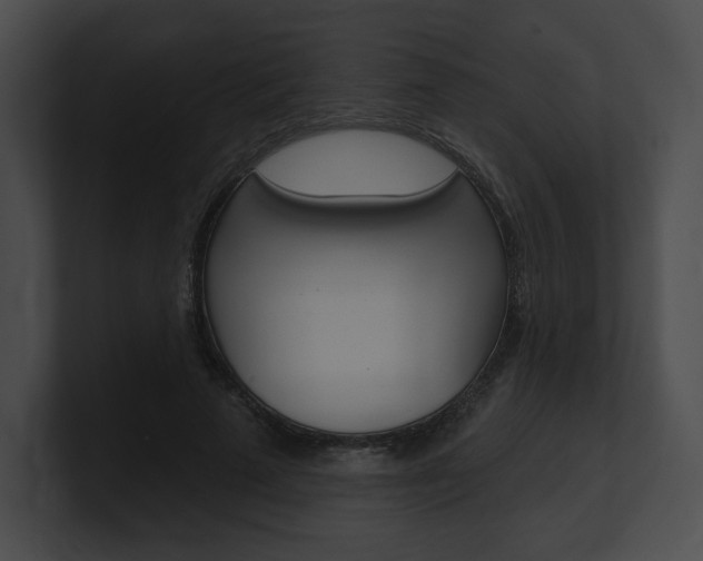 X0000101160689200806270733
