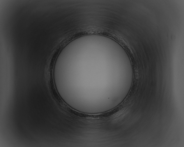 X0000101160690200806270733