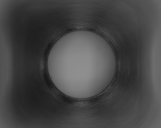 X0000101160691200806270733