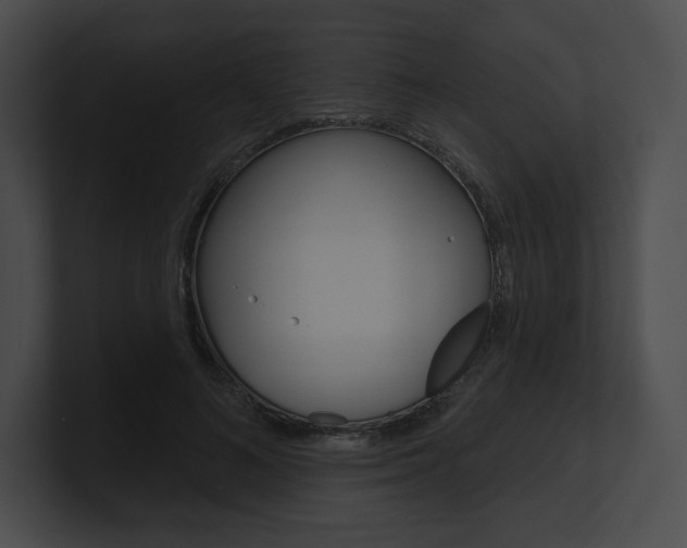 X0000101160692200806270733