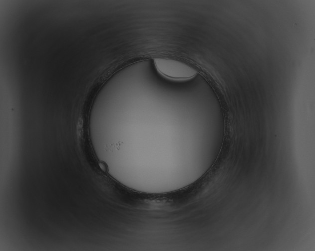 X0000101160693200806270733