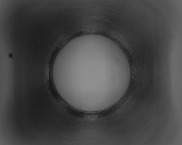 X0000101160694200806270733