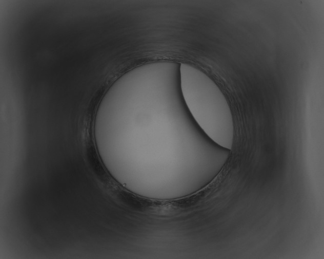 X0000101160695200806270733