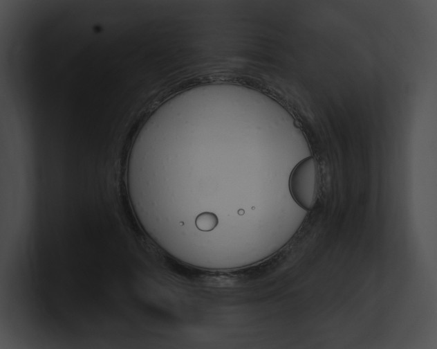 X0000101160698200806270732