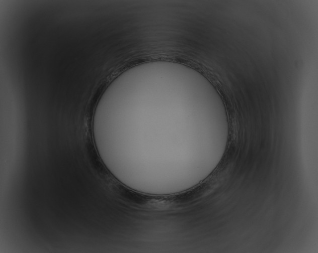X0000101160699200806270732