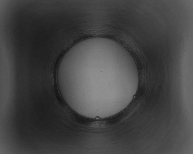 X0000101160700200806270732