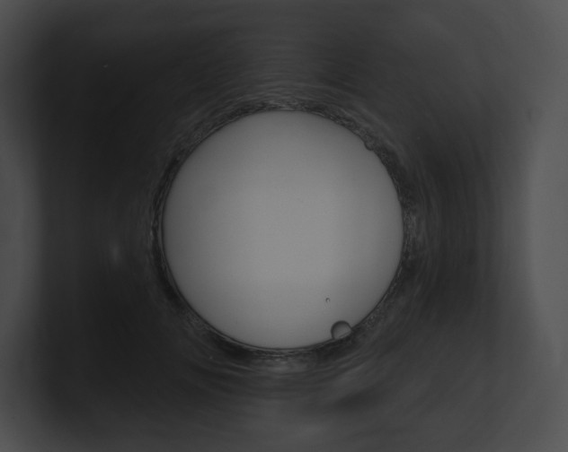X0000101160702200806270732