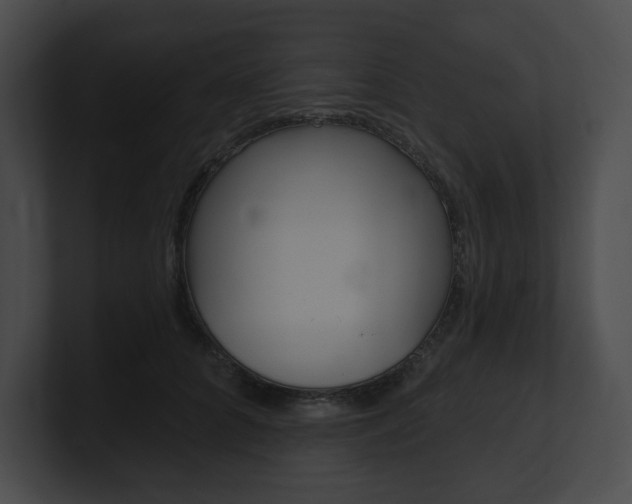 X0000101160704200806270732