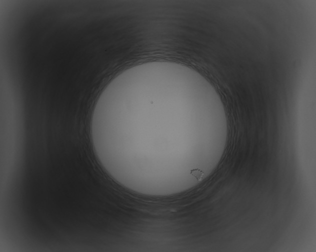 X0000101160705200806270732