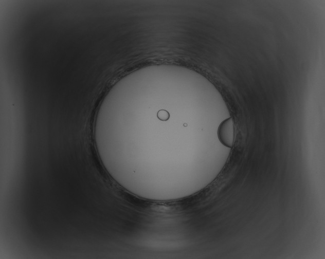 X0000101160706200806270732