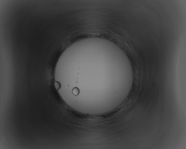 X0000101160707200806270732