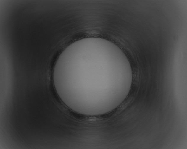 X0000101160710200806270732