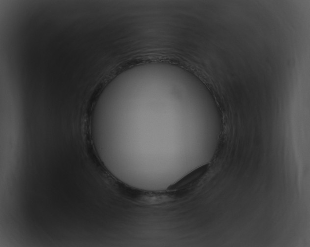 X0000101160712200806270732