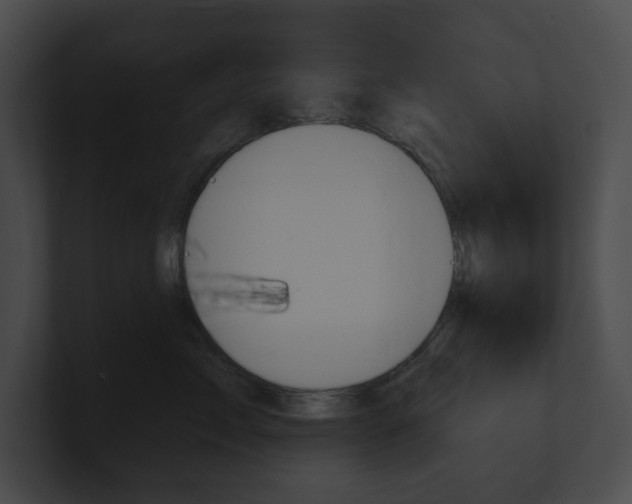 X0000101160717200806270732