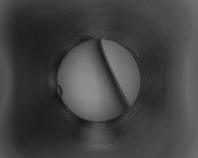 X0000101160719200806270732