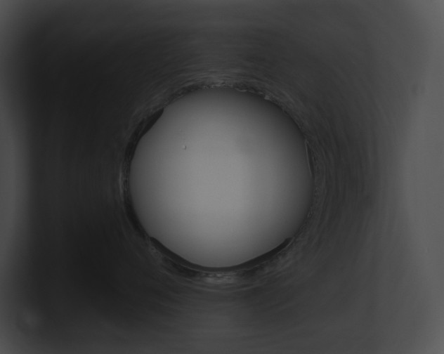 X0000101160720200806270732