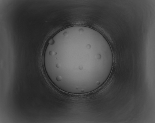 X0000101160721200806270732