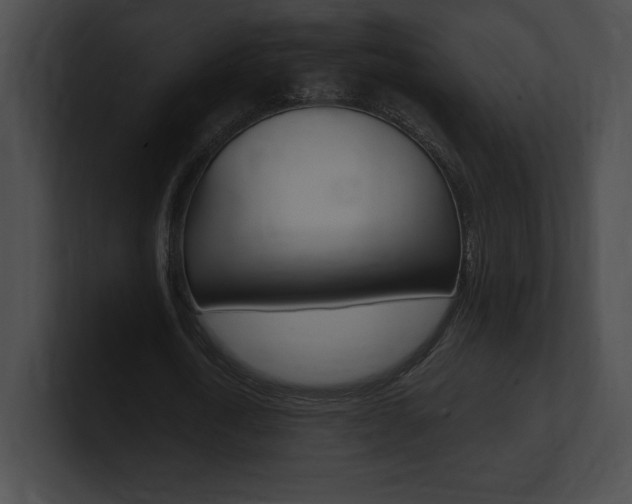X0000101160722200806270732