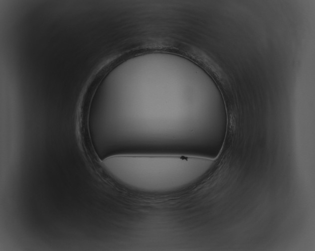 X0000101160724200806270732