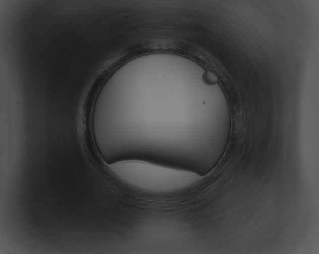 X0000101160727200806270732