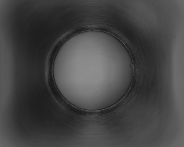 X0000101160728200806270732