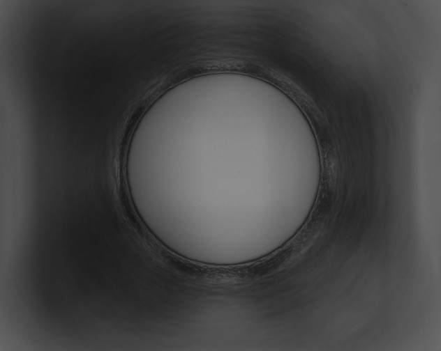 X0000101160729200806270732