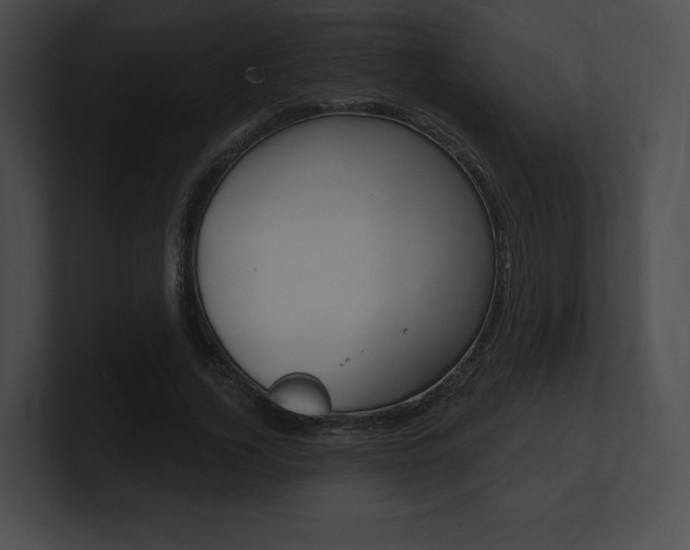 X0000101160732200806270732
