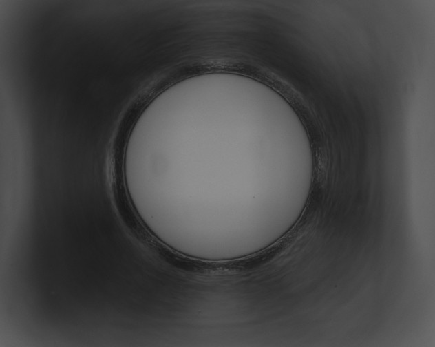 X0000101160734200806270732