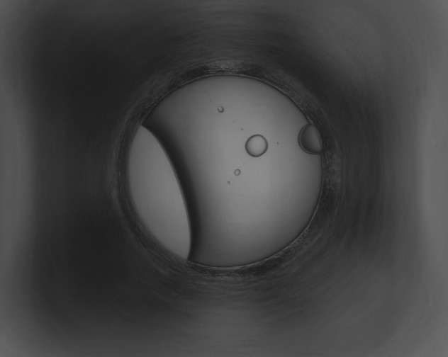 X0000101160738200806270732