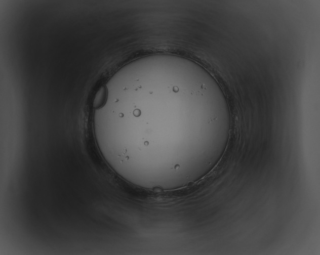 X0000101160739200806270732