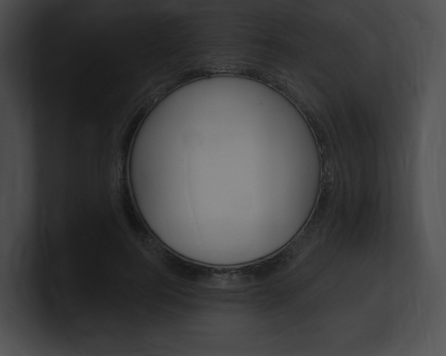 X0000101160744200806270732