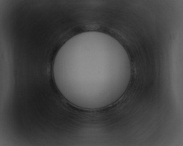 X0000101160745200806270732