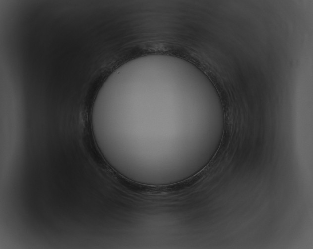X0000101160747200806270732
