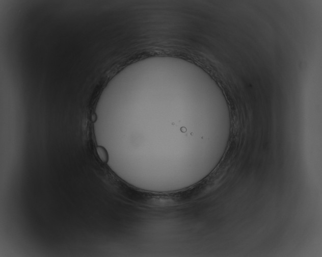 X0000101160749200806270732