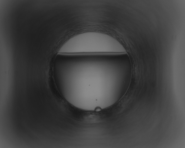 X0000101160750200806270732