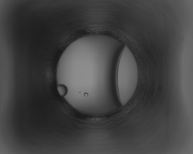 X0000101160751200806270732