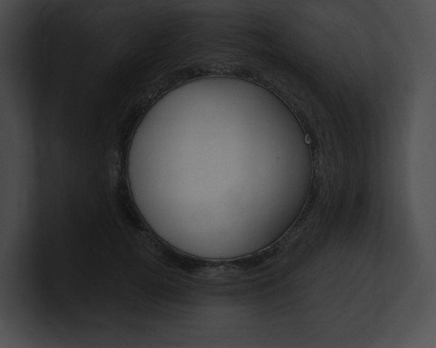 X0000101160752200806270732