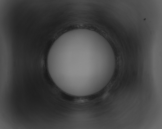 X0000101160754200806270732