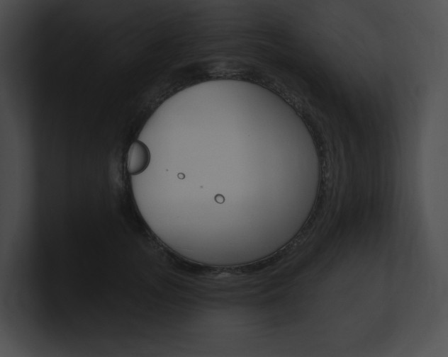 X0000101160755200806270732